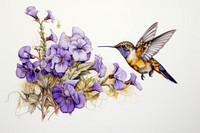 A hummingbird with yellow and purple flowers drawing animal sketch.