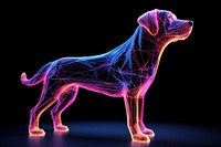 Neon dog wireframe animal purple light.