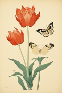 Ukiyo-e art tulip butterfly painting flower.