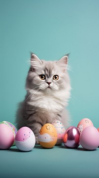 Cat wearing bunny costume egg mammal animal.