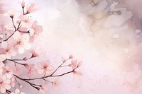 Watercolor cherry blossom backgrounds flower plant.