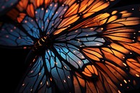 A butterfly wing with orange illuminated chandelier fragility.