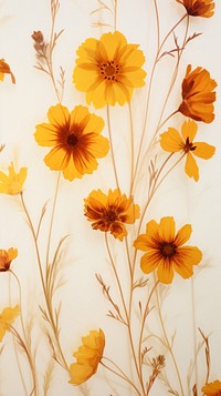 Coreopsis flower backgrounds wallpaper.