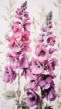 Foxglove flower gladiolus blossom.