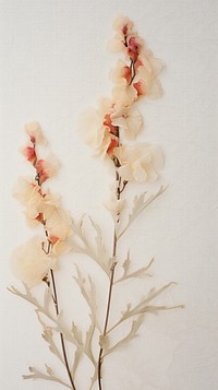 Snapdragon flower plant petal.