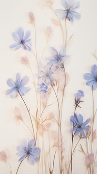Real pressed bluebells flowers backgrounds pattern petal.