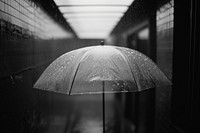 Umbrella architecture rain protection.