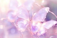 Butterfly bokeh effect outdoors nature flower.