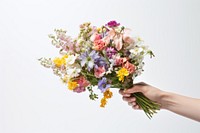 Hand holding bouquet flower plant white background.