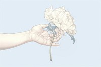 Hand holding flower illustration drawing sketch illustrated.