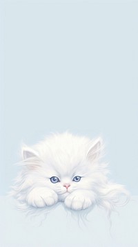 Kitten animal mammal white.