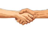 Hand shake handshake white background agreement.