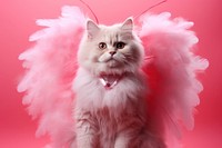 Cat wearing cupid costume animal mammal kitten.