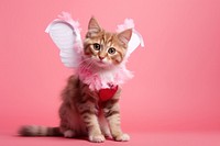 Cat wearing cupid costume animal mammal kitten.