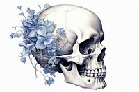 Skull with floral illustration sketch illustrated creativity.