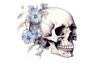 Skull with floral illustration drawing flower sketch.