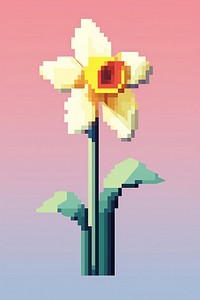 Daffodil flower pixel daffodil plant inflorescence.
