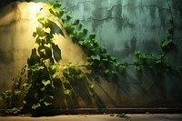 An ivy plant on a rustic wall growth light green.