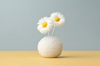 Daisy in vase fluffy wool flower plant petal.