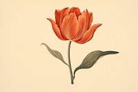 Ukiyo-e art print style Tulip tulip flower plant.