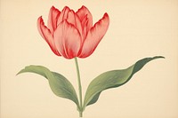 Ukiyo-e art print style Tulip tulip flower petal.