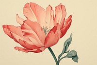 Ukiyo-e art print style Tulip drawing flower sketch.