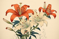 Ukiyo-e art print style lily flower plant inflorescence.