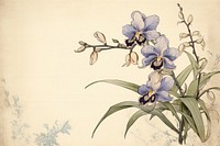 Ukiyo-e art print style orchid blossom drawing flower.