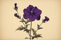 Ukiyo-e art print style purple flower plant inflorescence fragility.