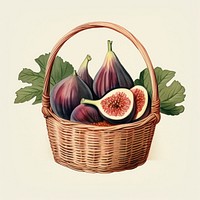 Vintage illustration of fig basket fruit plant.