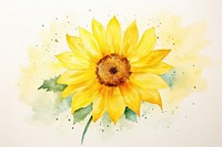 Background sunflowre garden sunflower painting yellow.