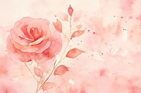 Plain rose background backgrounds blossom flower.