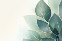 Eucalyptus leaf backgrounds abstract pattern.