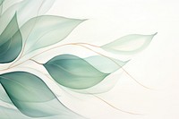 Eucalyptus leaf backgrounds abstract pattern.
