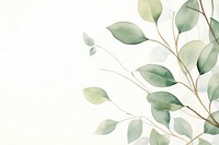 Eucalyptus leaf backgrounds pattern plant.