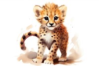 Cute cheetah wildlife leopard animal.
