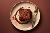 Brownie plate chocolate dessert.