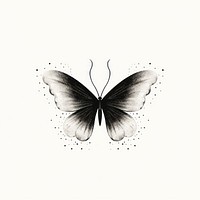 Butterfly drawing insect animal.