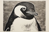 Penguin animal bird monochrome.