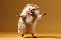 Happy smiling hedgehog dancing animal mammal rodent.