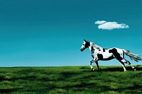 Photography of horse landscape outdoors animal.