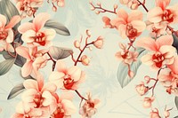 Vintage drawing orchid pattern flower backgrounds plant.