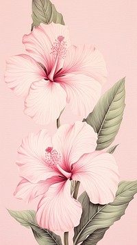 Vintage drawing pink hibiscus flower pattern plant.
