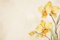 Vintage drawing yellow orchid flower petal plant.