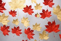 Maple leaves icon shape backgrounds plant leaf.