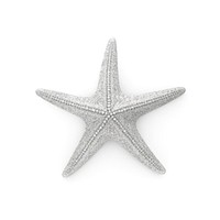 Starfish icon shape white background invertebrate.