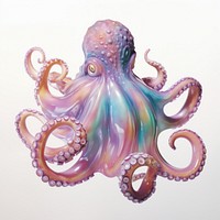 An iridescence octopus isolated on clear pale solid white background animal art invertebrate.