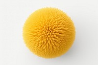 Sphere simplicity cantaloupe freshness.