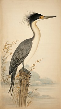 Traditional japanese cormorant animal heron bird.