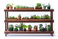 Indoor plant shelf nature garden.